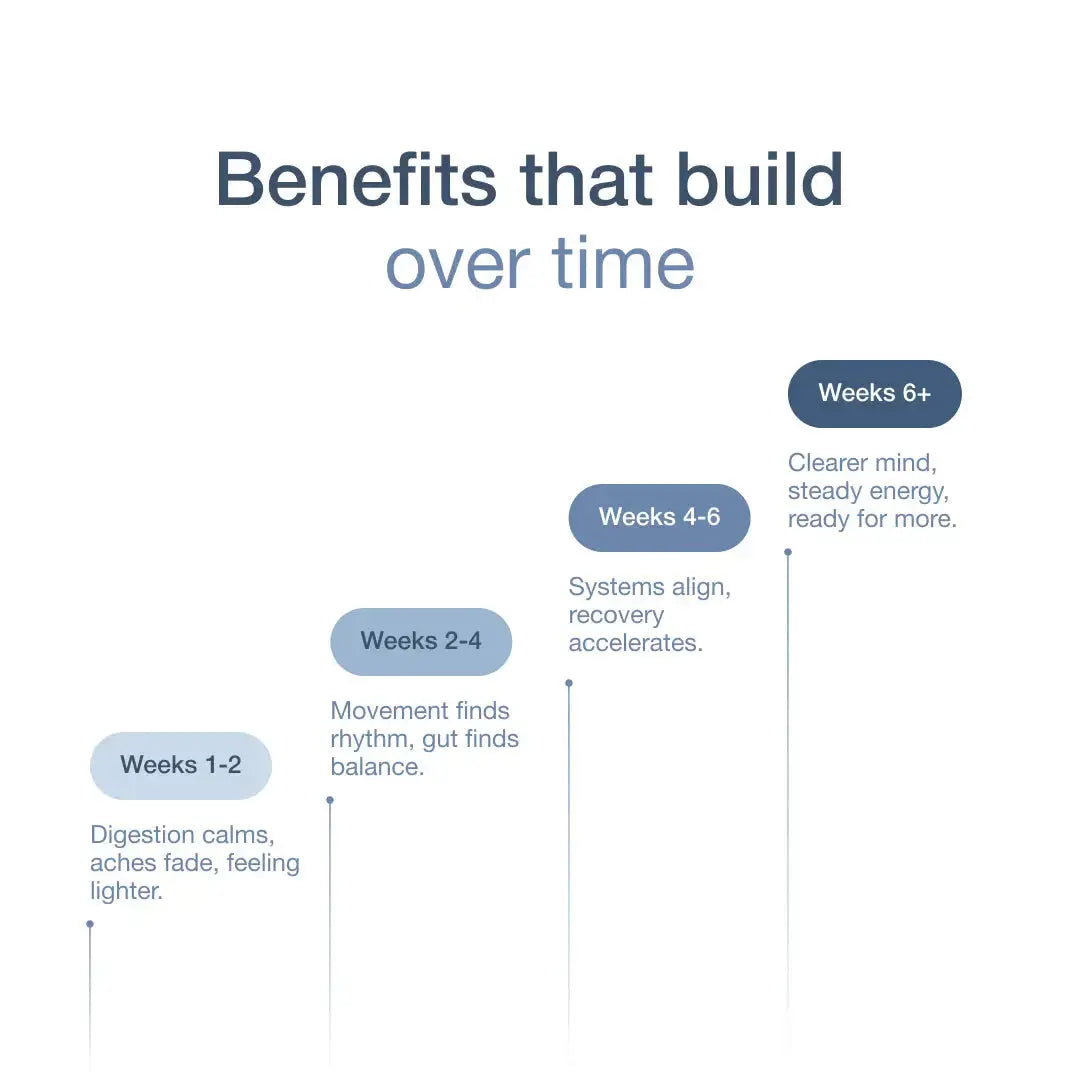 BPC LX Spray Results Timeline