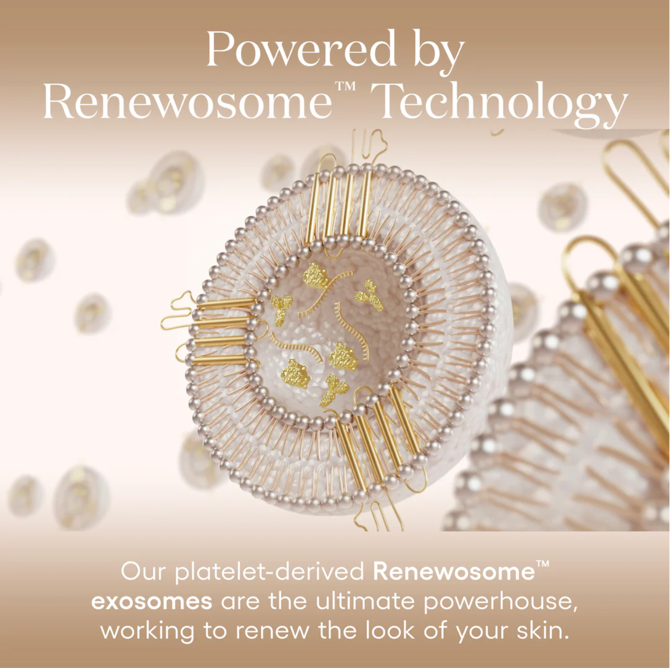 Plated Plated Hair Renewosome  Exosome Technology