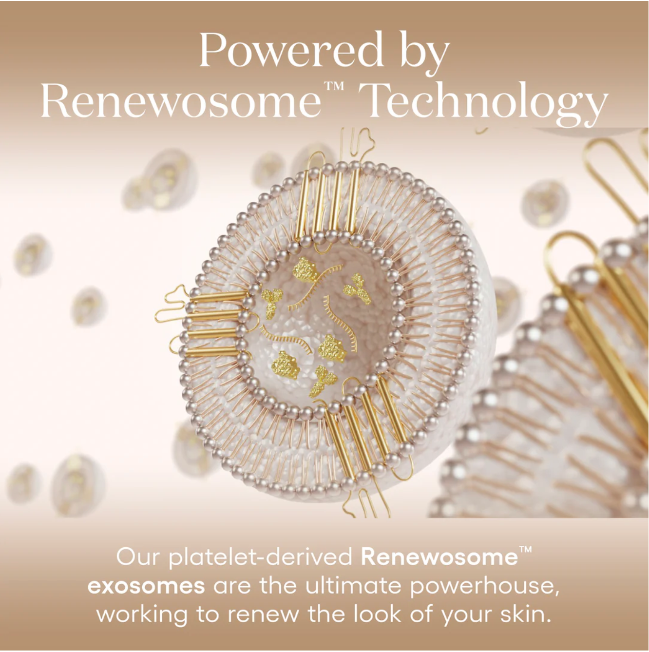 Plated Renewosome™ Daily Exosome Serum 