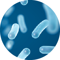 Lactobacillus ferment postbiotic in Radiance+ Resurfacing Serum